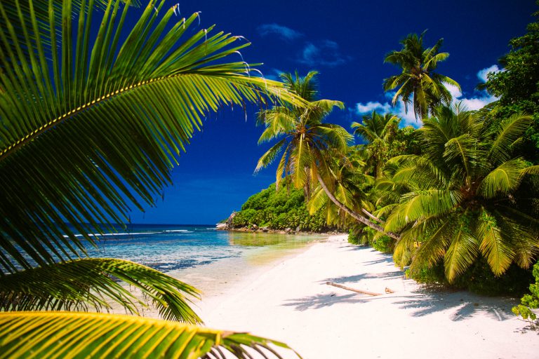 Sejšeli - I. del :: Sanjske počitnice - Anej plus Teja